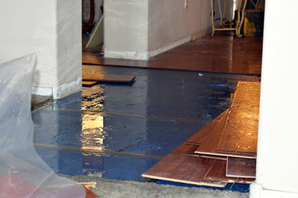 Professional Burst Pipe Cleanup technician working in Kingsley, MI